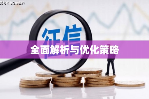 顺城全面解析与优化策略