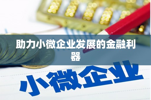 顺城助力小微企业发展的金融利器