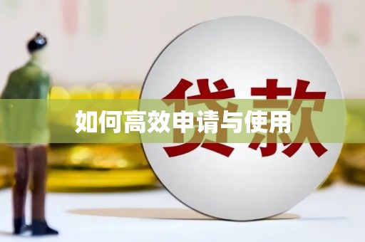 顺城如何高效申请与使用
