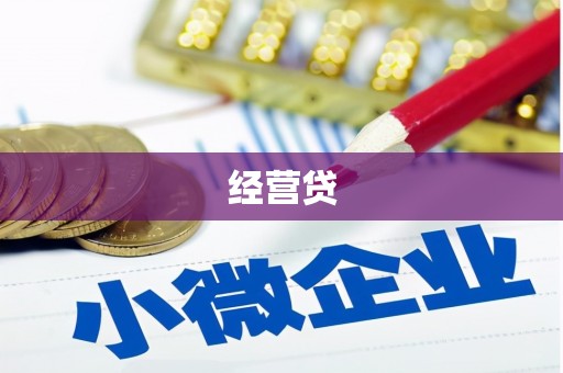 顺城经营贷