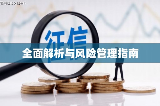 顺城全面解析与风险管理指南