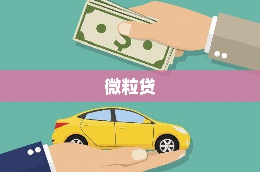 顺城微粒贷
