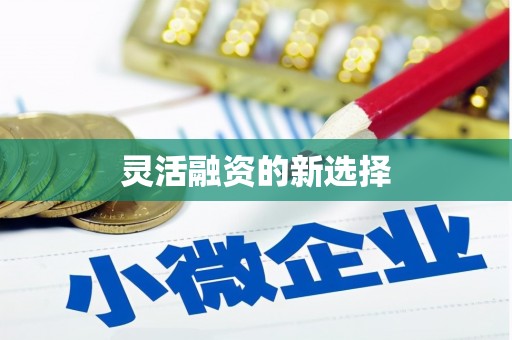 顺城灵活融资的新选择