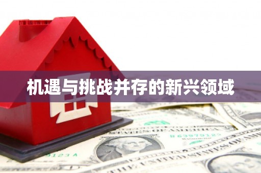 顺城机遇与挑战并存的新兴领域