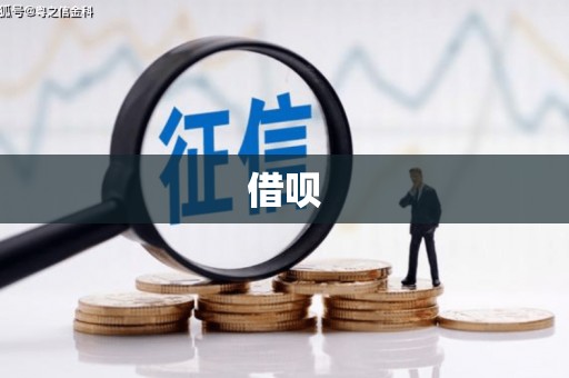 顺城借呗