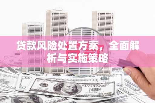 顺城贷款风险处置方案，全面解析与实施策略