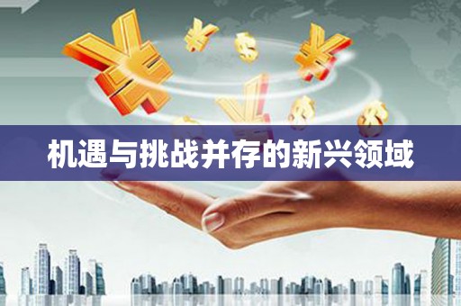 顺城机遇与挑战并存的新兴领域