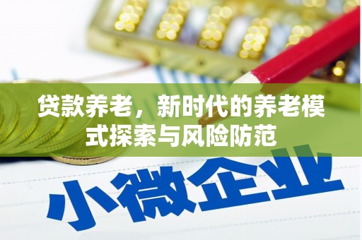 顺城贷款养老，新时代的养老模式探索与风险防范