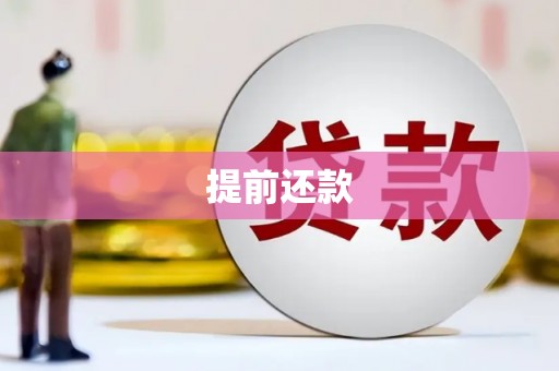 顺城提前还款