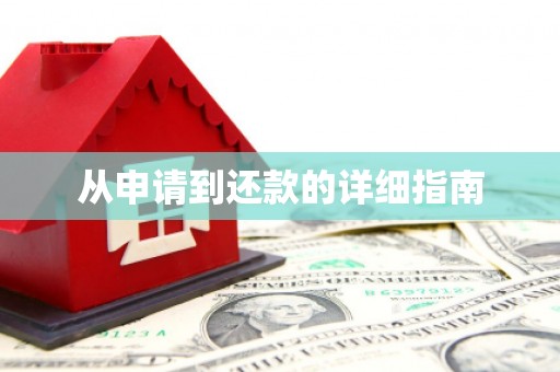 顺城从申请到还款的详细指南