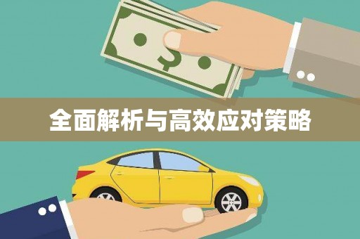 顺城全面解析与高效应对策略