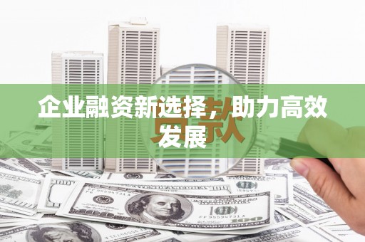 顺城企业融资新选择，助力高效发展