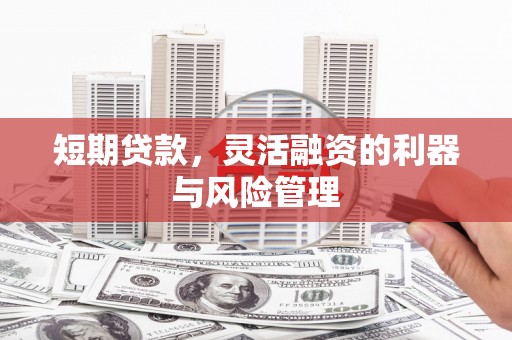 顺城短期贷款，灵活融资的利器与风险管理