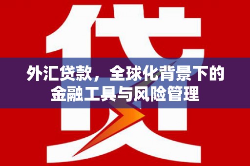顺城外汇贷款，全球化背景下的金融工具与风险管理