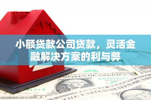 顺城小额贷款公司贷款，灵活金融解决方案的利与弊