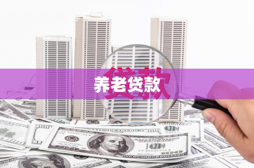 顺城养老贷款