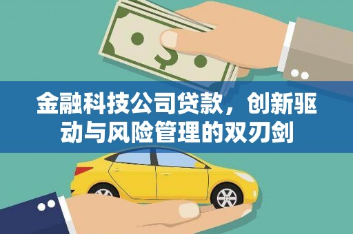 顺城金融科技公司贷款，创新驱动与风险管理的双刃剑