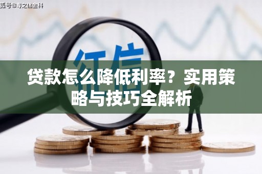 顺城贷款怎么降低利率？实用策略与技巧全解析